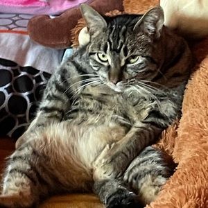 Meet your Posher, Angie